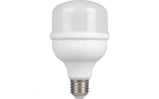 Lámpara Argo 120124 LED E27 40W 6500K Luz Fría Lámpara Argo 120124 LED E27 40W 6500K Luz Fría