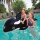 Animal Inflable Bestway 41009 Orca