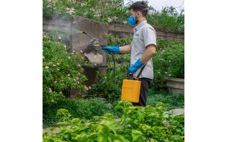 Fumigador Pulverizador Brudden SS G2 5L Regulable