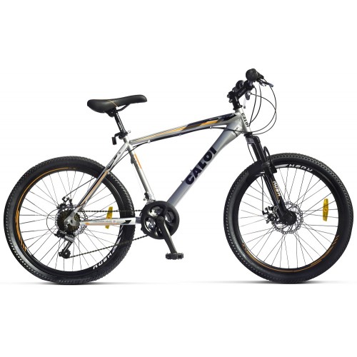 Bicicleta Caloi Rider Sport Aro 24" Plata