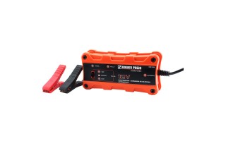 Cargador de Batería Dowen Pagio 9991004 2A Cargador de Batería Dowen Pagio 9991004 2A