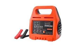 Cargador de Batería Dowen Pagio 9991014 8A Cargador de Batería Dowen Pagio 9991014 8A