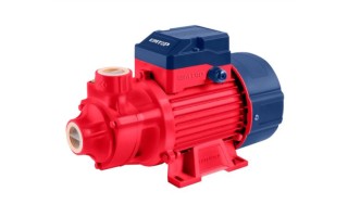 Bomba de Agua Periférica Emtop EWPPV 1HP 1''