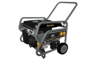 Generador de Corriente Forest&Garden GG-10500E 4700W 220V Naftero