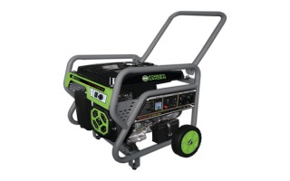 Generador de Corriente Forest&Garden GG10750 6800W 220V Naftero Generador de Corriente Forest&Garden GG10750 6800W 220V Naftero