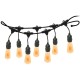 Guirnalda de Luces Foxlux 43.13 E27 120W 10m Guirnalda de Luces Foxlux 43.13 E27 120W 10m
