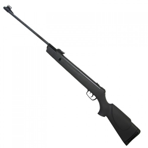 Rifle Aire Comprimido Gamo Big Cat 1000-E IGT 5,5mm