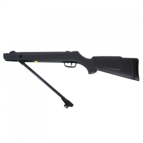 Rifle Aire Comprimido Gamo Big Cat 1000-E IGT 5,5mm