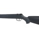 Rifle Aire Comprimido Gamo Big Cat 1000-E IGT 5,5mm