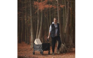 Carro Plataforma Plegable Goleader GL-71914 100kg