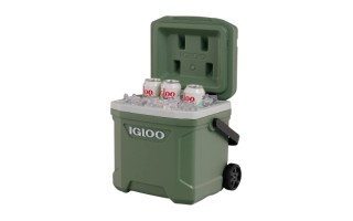 Conservadora Igloo Ecocool Latitude 348953 15L Verde Conservadora Igloo Ecocool Latitude 348953 15L Verde