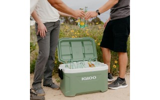 Conservadora Igloo Ecocool Latitude 50491 49L Verde Conservadora Igloo Ecocool Latitude 50491 49L Verde