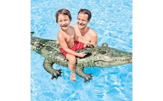 Flotador Inflable Infantil Intex 57551 Cocodrilo Flotador Inflable Infantil Intex 57551 Cocodrilo