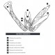 Multi-Herramienta Leatherman Skeletool 830964 7 Func. Plateado