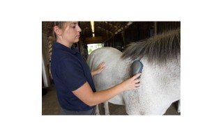 Peines y Cepillos para Caballos Oster 7pzs Azul Peines y Cepillos para Caballos Oster 7pzs Azul