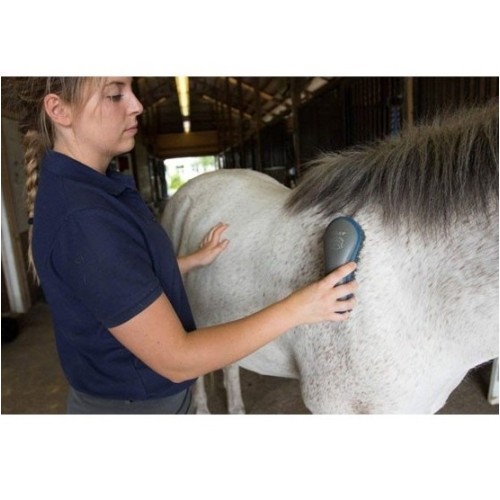 Peines y Cepillos para Caballos Oster 7pzs Azul