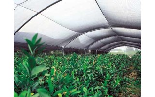 Malla media Sombra Polysack 35% 2x100m Negro Malla media Sombra Polysack 35% 2x100m Negro