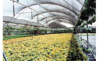 Malla media Sombra Polysack 35% 4x100m Negro