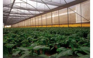 Malla media Sombra Polysack 50% 2x100m Negro Malla media Sombra Polysack 50% 2x100m Negro