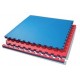 Goma Eva Tatami Qrubber 20mm 100x100cm Encastrable Rojo y Azul