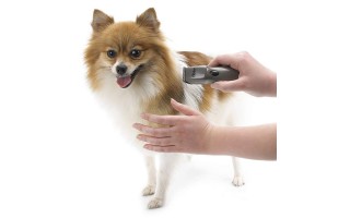 Corta Pelos Oster Pocket 4pzs p/ Perros Corta Pelos Oster Pocket 4pzs p/ Perros