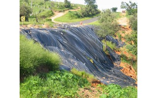 Lona de Construccion Roma 2x100m 180 Micrones Negro