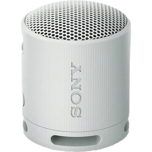 Parlante Bluetooth Sony XB100 2,5W Gris