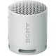 Parlante Bluetooth Sony XB100 2,5W Gris