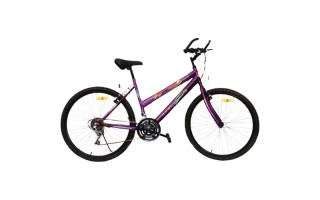 Bicicleta Super Champ MTB24 2SC0297 Aro 24'' Lila