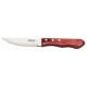 Cuchillo p/ Asado Tramontina Polywood 21116 25cm x12u