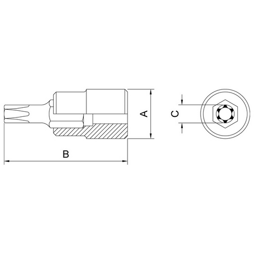 Punta Torx Tramontina Pro 44844 enc.1/2" T60