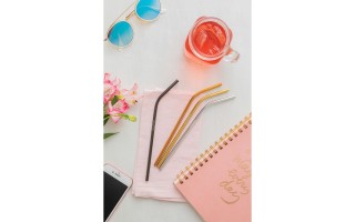 Pajitas Tramontina 64600 Acero Inox. + Cepillo 5pzs Pajitas Tramontina 64600 Acero Inox. + Cepillo 5pzs