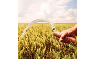 Hoz con Dientes Tramontina 77684 Mango Madera 13cm Hoz con Dientes Tramontina 77684 Mango Madera 13cm