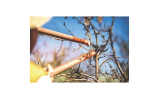 Tijera de Podar Tramontina 78360 mango de Madera 60cm