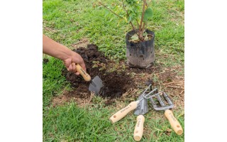 Herramientas para Jardín Truper 15030 6" 4pzs Herramientas para Jardín Truper 15030 6" 4pzs