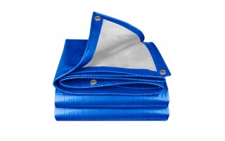 Carpa Lona Wadfow WTQ1823 2x3m Azul