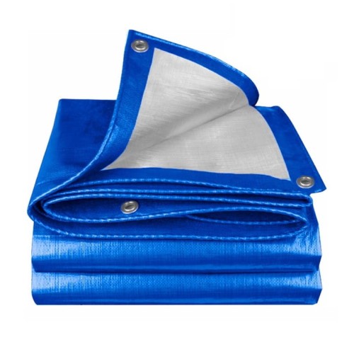 Carpa Lona Wadfow WTQ1823 2x3m Azul